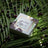 Foreo Ufo Maske Acai Beere X 6