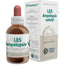 Forza Vitale Les Ampelopsis W. Canadian Vine 50Ml.