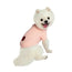 Freedog Jersey Frapp Lachs 15Cm