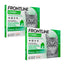 Frontline Combo Katzen und Frettchen Spot On, Packung 2 x 6 Pipetten x 0,5 ml