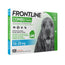Frontline Spot Combo 10-20 Kg, 6 Pipetten