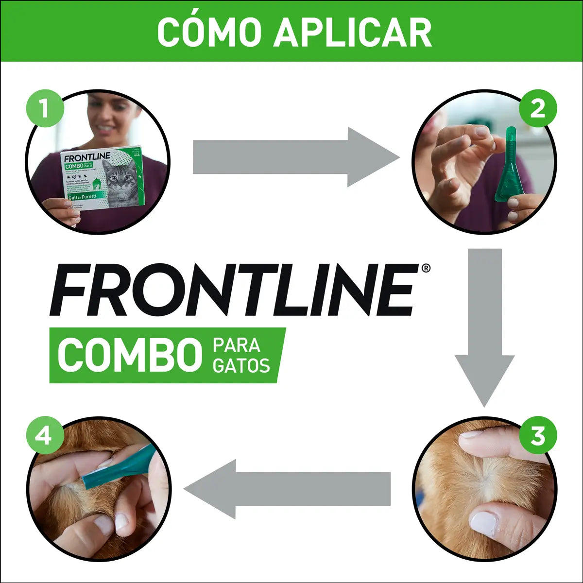 Frontline Combo Katzen & Frettchen Spot On, 6 Pipetten x 0,5 ml