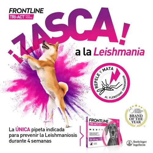 Frontline Tri-Act 20-40Kg, 6 Pipetten
