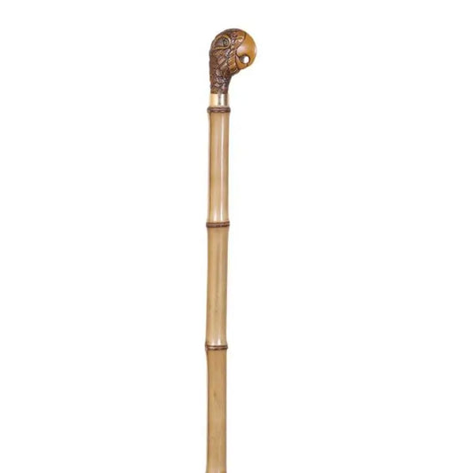 García 1880 Gehstock Kollektion Bambu Papageienfaust