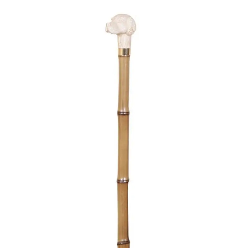 García 1880 Spazierstock Bamboo Collection Imitation Elfenbein Hund Griff