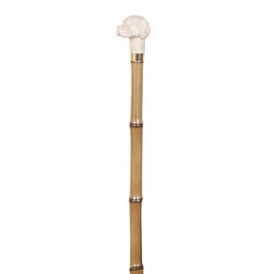 García 1880 Spazierstock Bamboo Collection Imitation Elfenbein Hund Griff