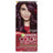 Garnier Color Sensation Creme permanente Farbe 3.16 Intensive Violine