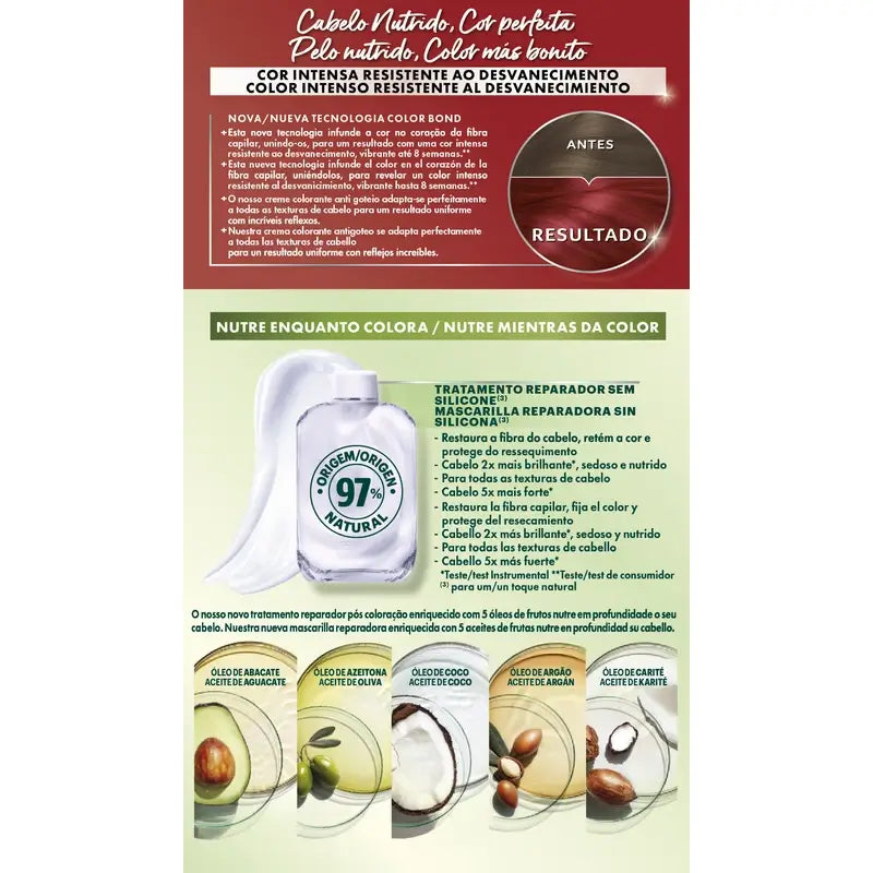 Garnier Nutrisse Ultra Farbe 6.60 Rouge , 160 ml