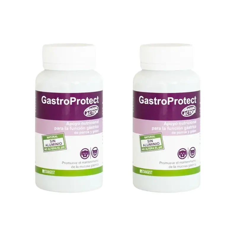 Gastroprotect Stangest, 2X30 Tabletten