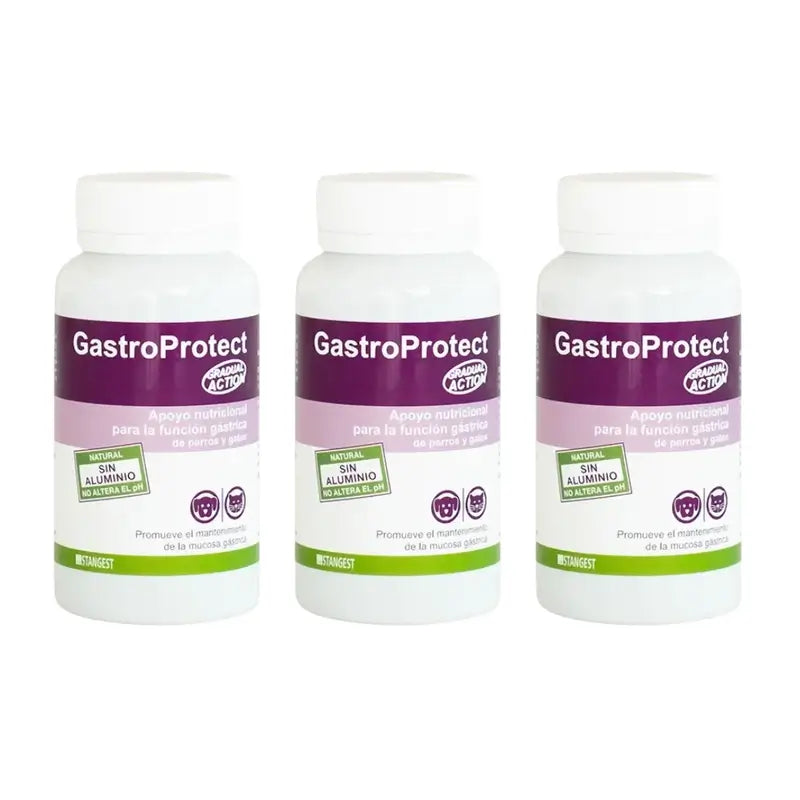 Gastroprotect Stangest, 3X30 Tabletten