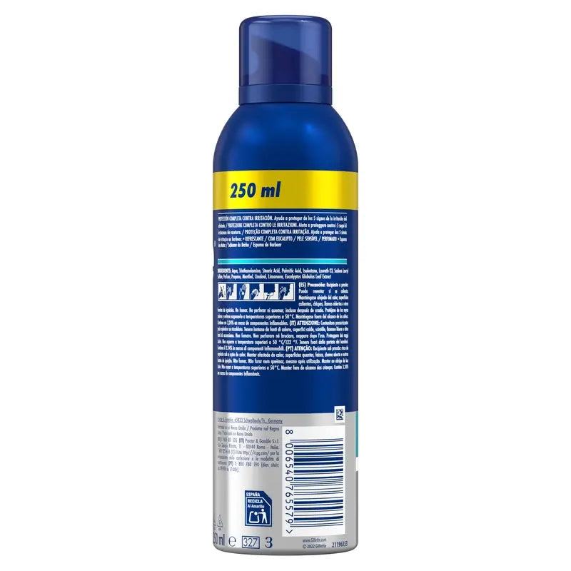Gillette Serie Eukalyptus Erfrischender Rasierschaum , 250 ml
