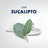 Gillette Serie Eukalyptus Erfrischender Rasierschaum , 250 ml