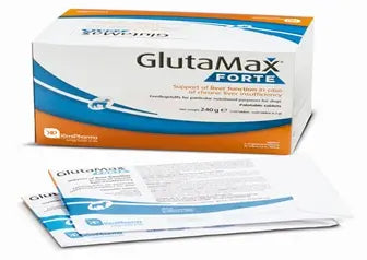 Glutamax Forte, 120 Tabletten