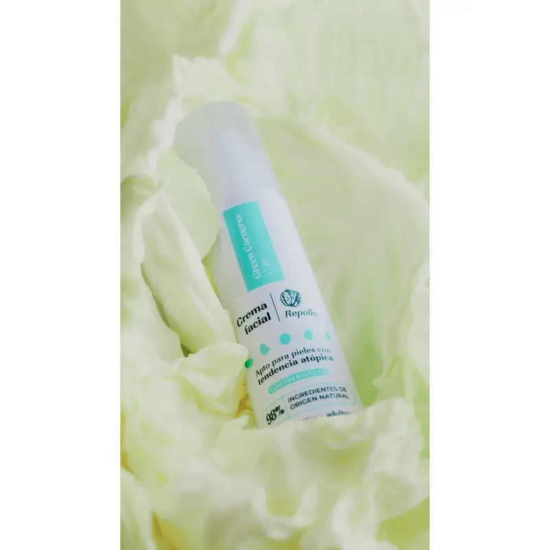 Green Cornerss Cabbage Gesichtscreme 50 ml