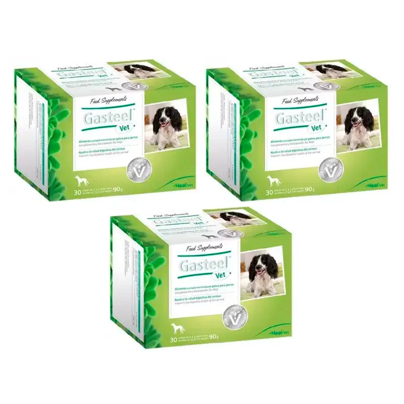 Heel Gasteel Vet, Packung mit 3 x 30 Beuteln