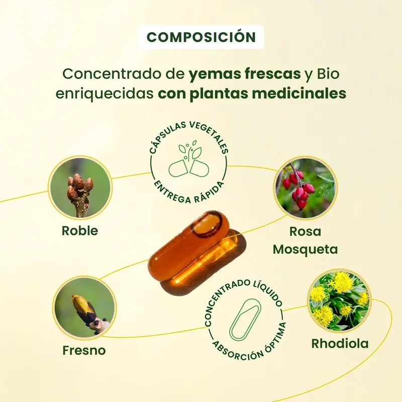 Herbalgem Gemmocaps Stress Protect Mood +, 30 Kapseln
