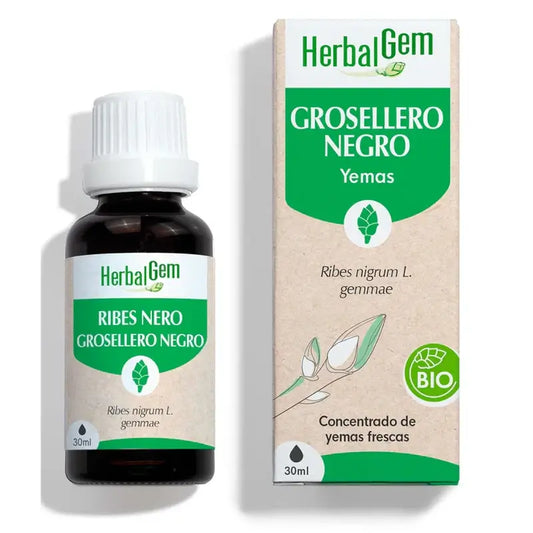 Herbalgem Schwarze Johannisbeere, 30ml