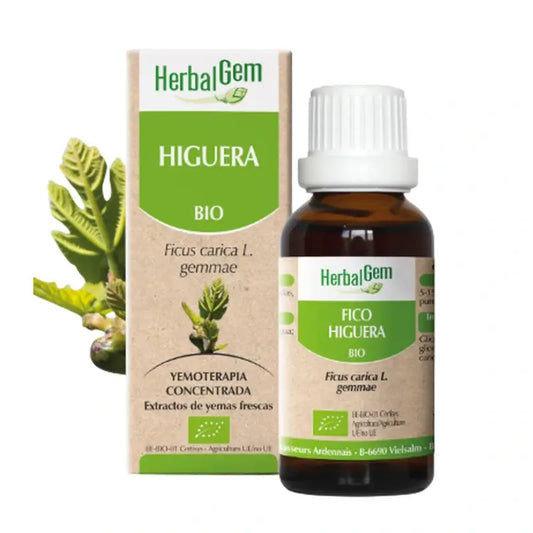 Herbalgem Feigenbaum-Tropfen, 15 ml