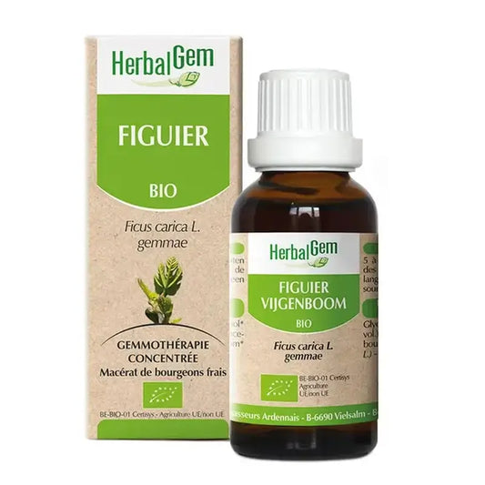 Herbalgem Feigenbaum, 30ml
