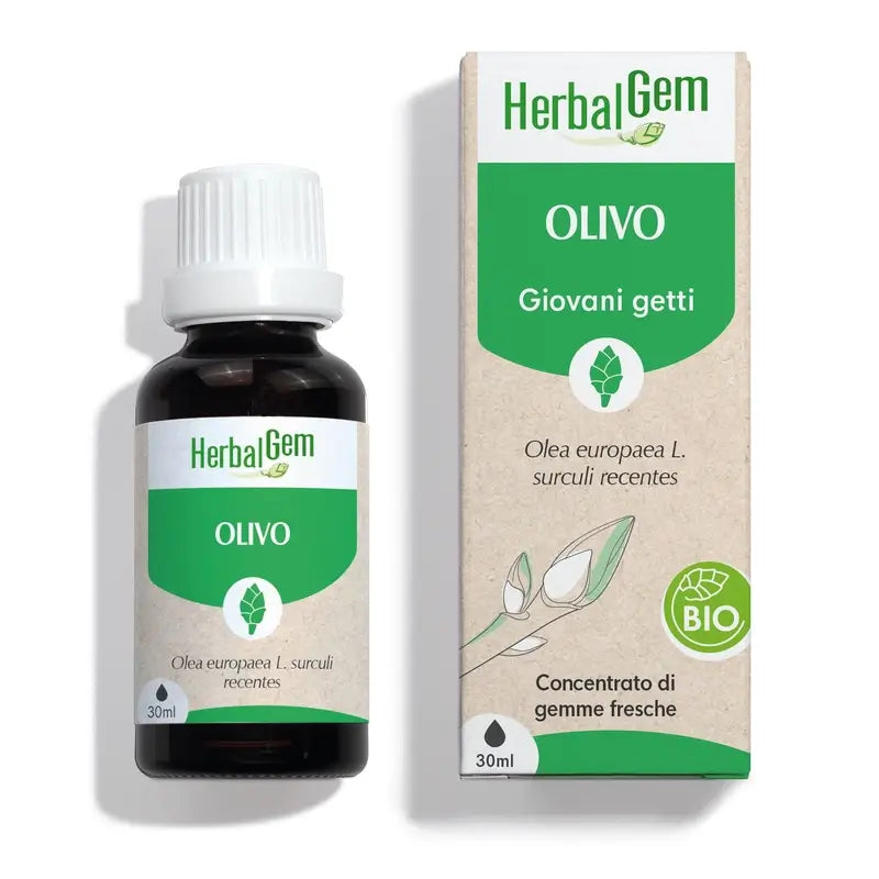 Herbalgem Olivenbaum Bio 30 Ml