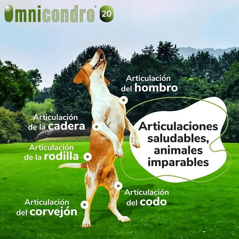 Omnicondro 10 Chondroprotector für Hunde 60 Tabletten
