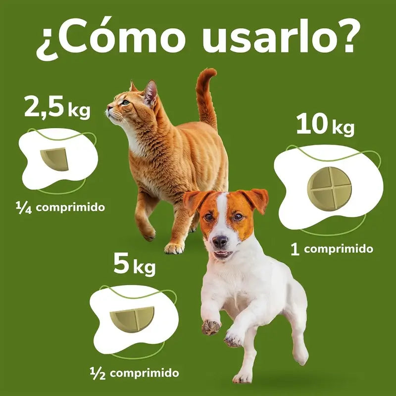Omnicondro 10 Chondroprotector für Hunde 60 Tabletten