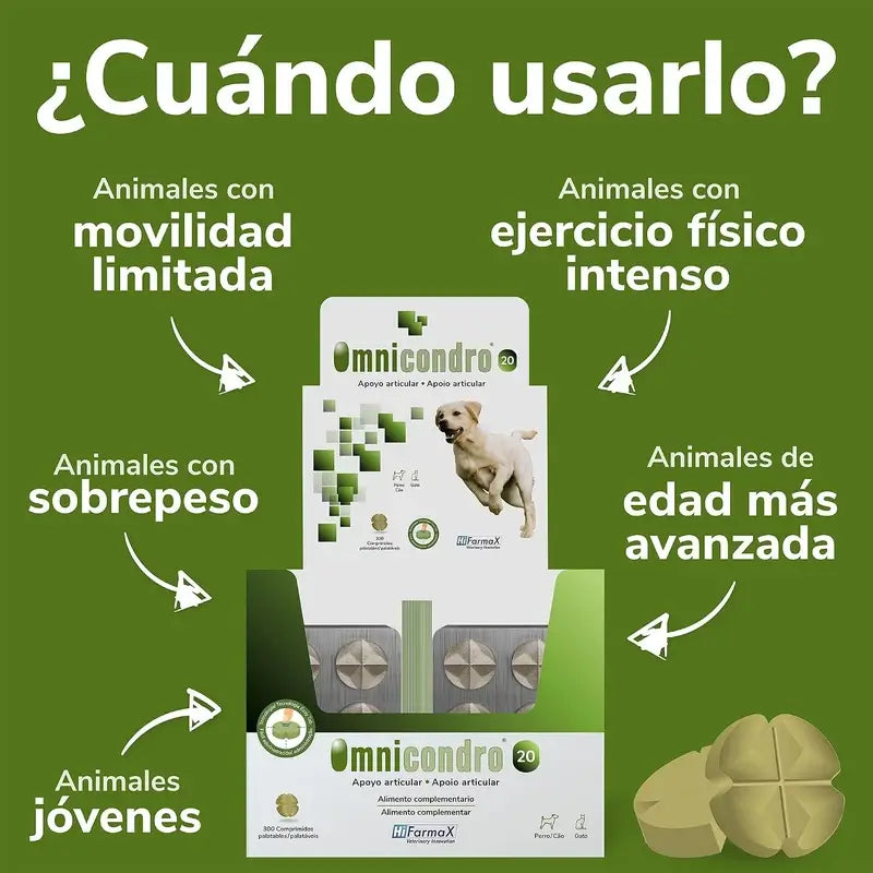 Omnicondro 20 mg, 300 Tabletten