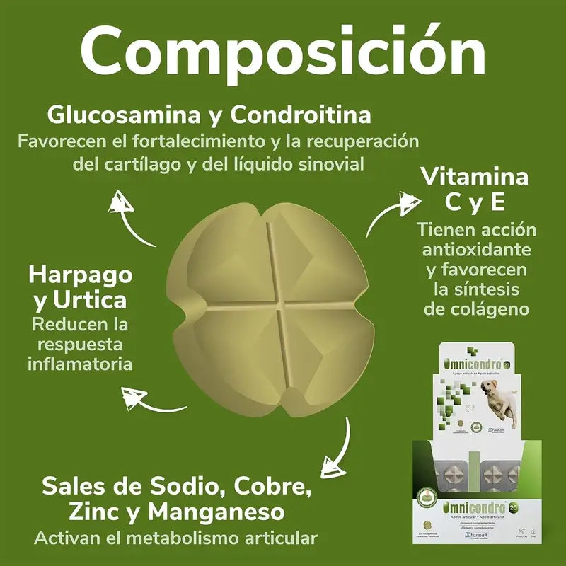 Omnicondro 20 mg, 300 Tabletten