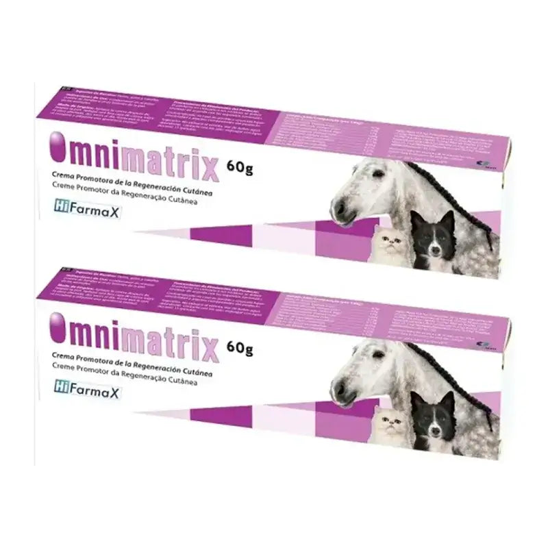 Omnimatrix-Heilsalbe, Packung 2 x 60 g
