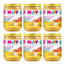 Hipp Bio-Gläschen mit gemischtem Obst und Getreide, 6er-Pack à 190 g