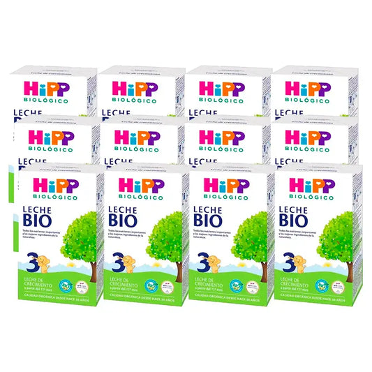 Hipp Bio Aufwuchsmilch 3, Packung 12 x 500 g