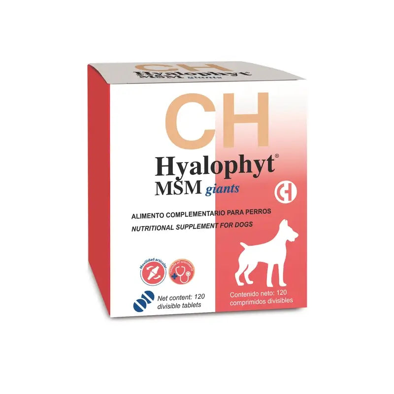 Chemical Hyalophyt MSM Giants, 120 Tabletten