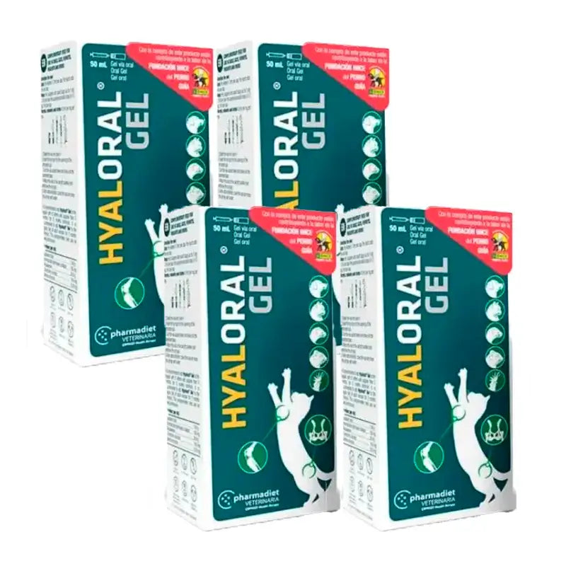Hyaloral Gel für Welpen und Katzen, Packung 4 x 50 ml