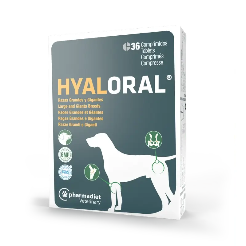 Hyaloral Große & Große Rassen Hund, 36 Tabletten
