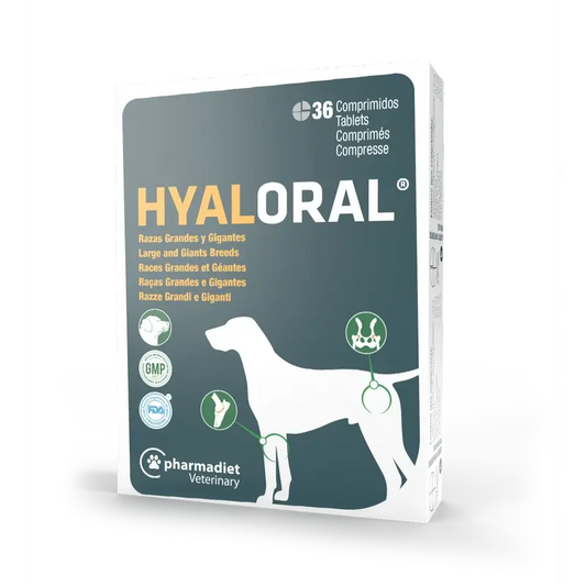 Hyaloral Große & Große Rassen Hund, 36 Tabletten