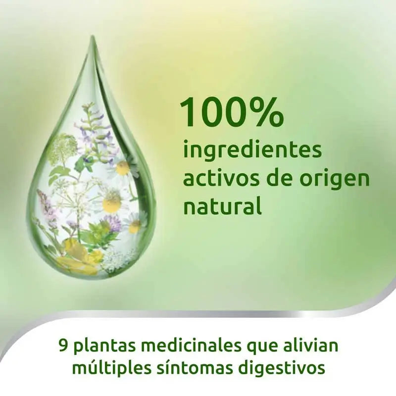 Iberogast Mundtropfen 20 ml