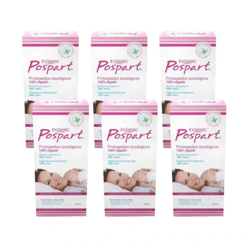 Indasec Pospart Protegeslip , 6 x 24 Stück