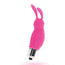 Intensiver Spaß Kaninchen Roger Pink