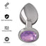 Intense Anal Plug Metal Aluminium With Violet Crystal Size M
