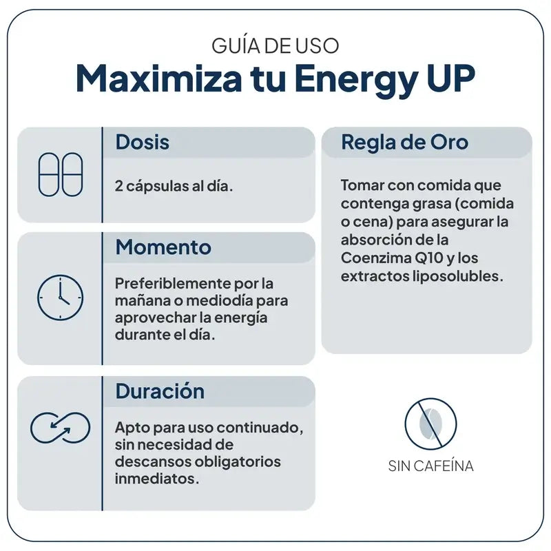 Ivb Wellness Lab Energy Up, 60 Kapseln