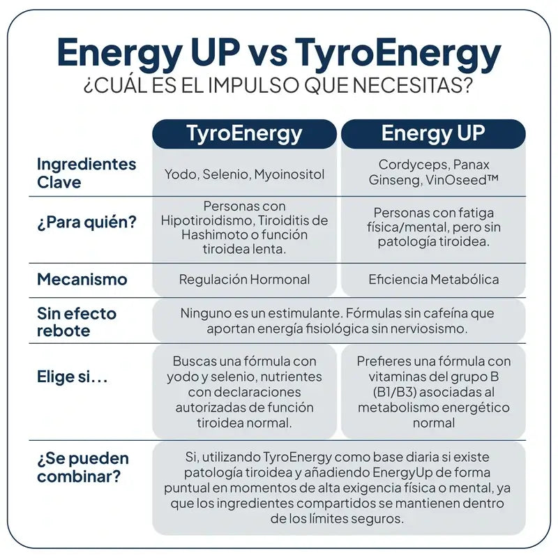 Ivb Wellness Lab Energy Up, 60 Kapseln