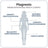 Ivb Wellness Lab Pack Deep Rest, Total Magnesium, 60 Kapseln + SomniLove, 180 g