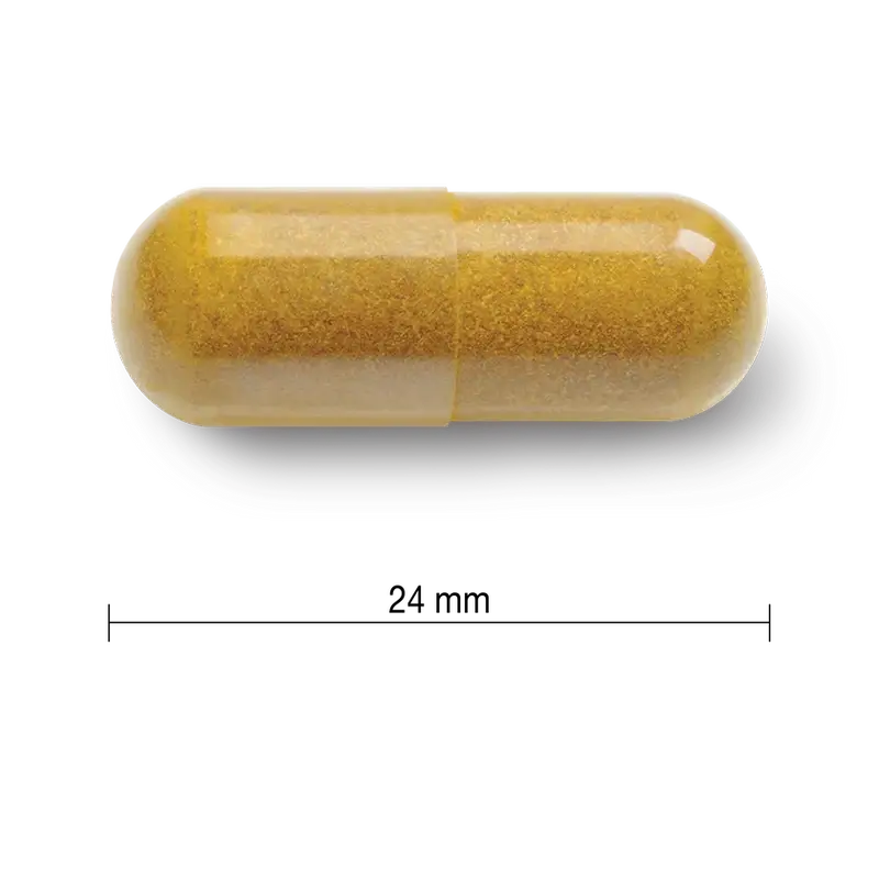 Jamieson Curcumin Kurkuma 550Mg , 60 Kapseln