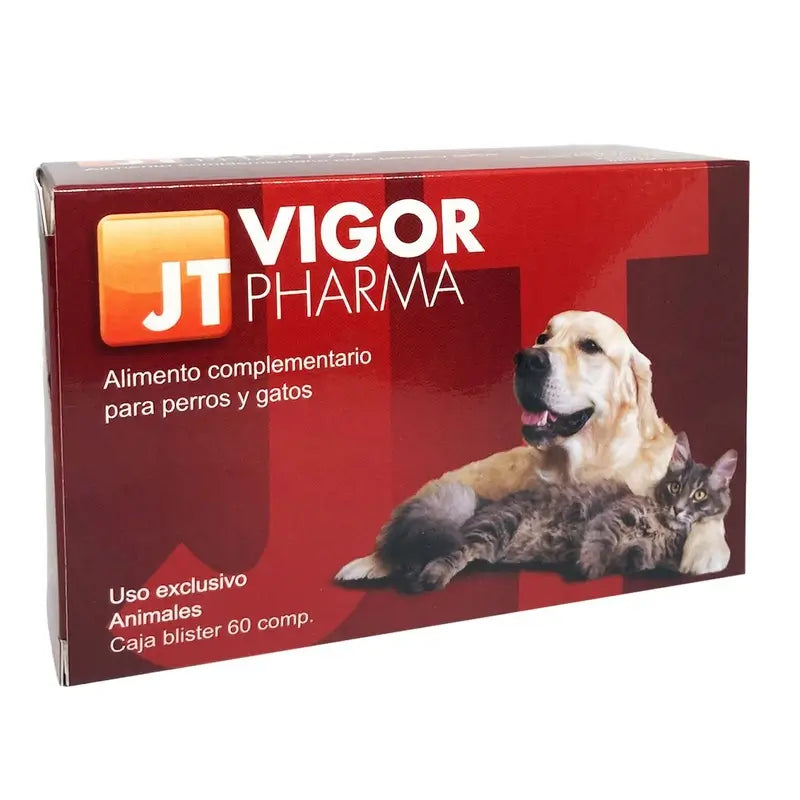 JTPharma Vigor Pharma 60 Tabletten