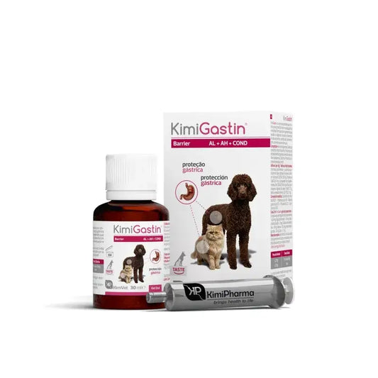 Kimigastin Gel zum Einnehmen 30Ml