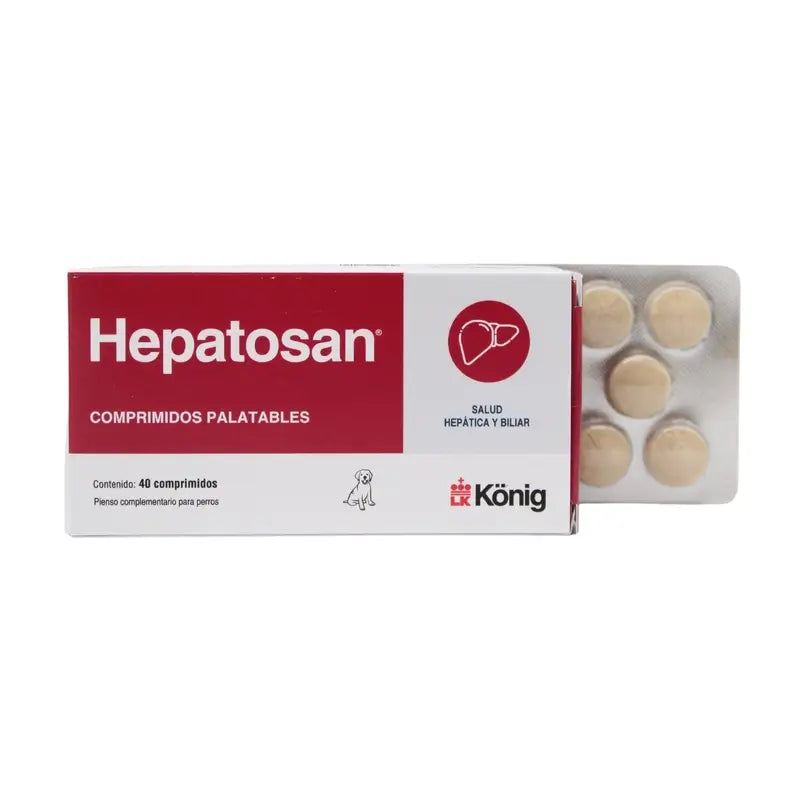 König Hepatosan 40 Tabletten