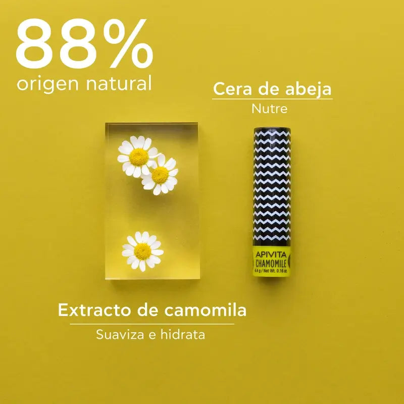 APIVITA Lippenbalsam SPF 15 mit Kamille 4,4 g
