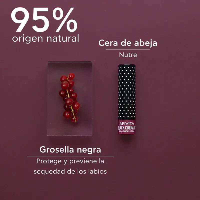 APIVITA Farbiger Lippenbalsam mit schwarzer Johannisbeere 4.4g
