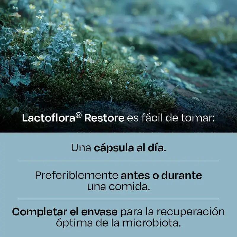 Lactoflora Restore 20 Kapseln