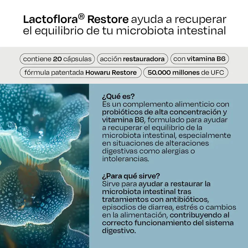 Lactoflora Restore Pack 3 x 20 Kapseln